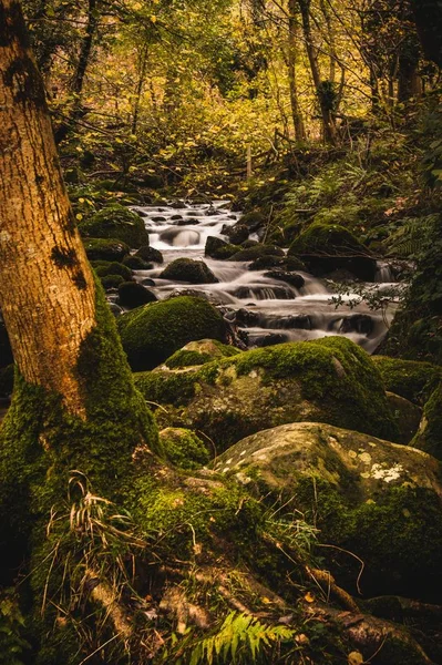 Вертикальный Снимок Реки Протекающей Над Мшистыми Скалами Лесу — стоковое фото