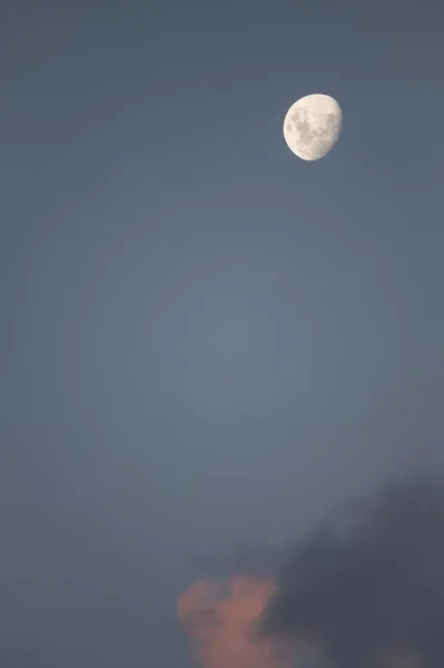 Plano Vertical Luna Blanca Cielo Tarde Con Unas Pocas Nubes — Foto de Stock