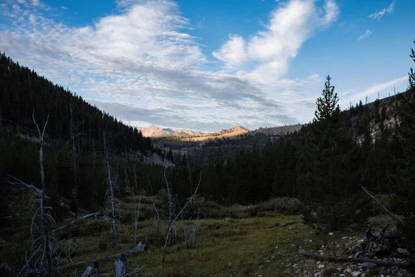 Champ Couvert Verdure Entouré Montagnes Forêts Sous Ciel Bleu Lumière — Photo