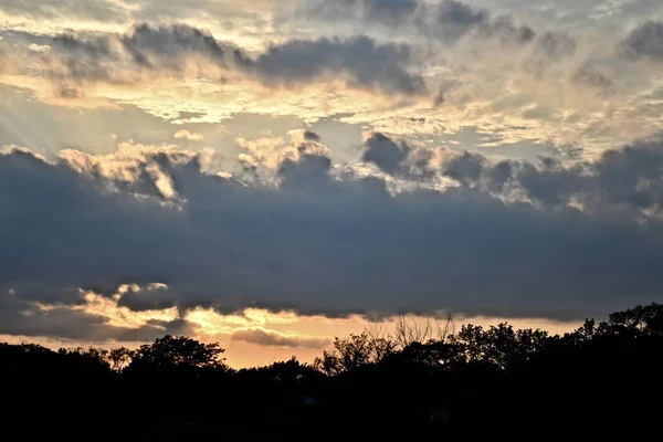 Silhouettes Trees Cloudy Sky Beautiful Sunset — ストック写真