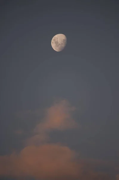 Pionowe Ujęcie Białego Księżyca Wieczornym Niebie Kilkoma Chmurami — Zdjęcie stockowe