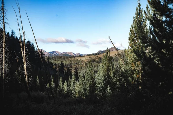 Pole Pokryte Zielenią Otoczone Górami Lasami Pod Błękitnym Niebem Słońcem — Zdjęcie stockowe