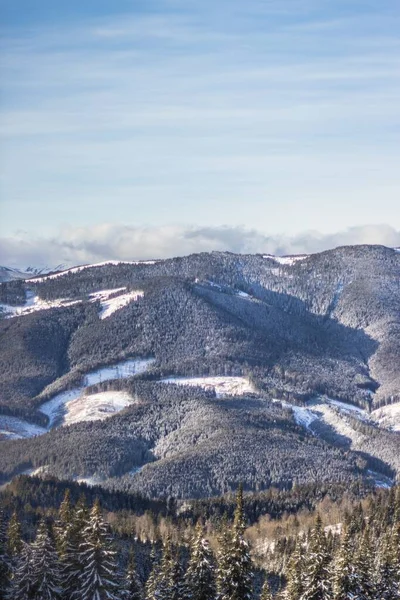 Uma Paisagem Montanhas Cobertas Florestas Neve Com Fundo Embaçado — Fotografia de Stock