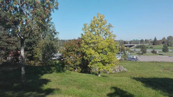 Beautiful Trees Grass Covered Hill Parking Lot Captured Day Time — 스톡 사진