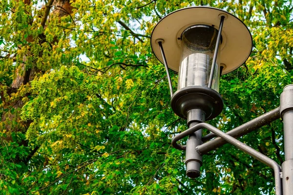 Een Lage Hoek Uitzicht Van Een Lamp Met Groen Wazige — Stockfoto