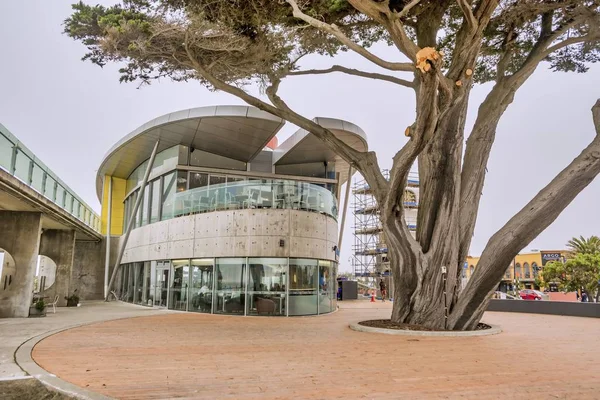 Het restaurant aan het einde van de Christchurch Pier — Stockfoto