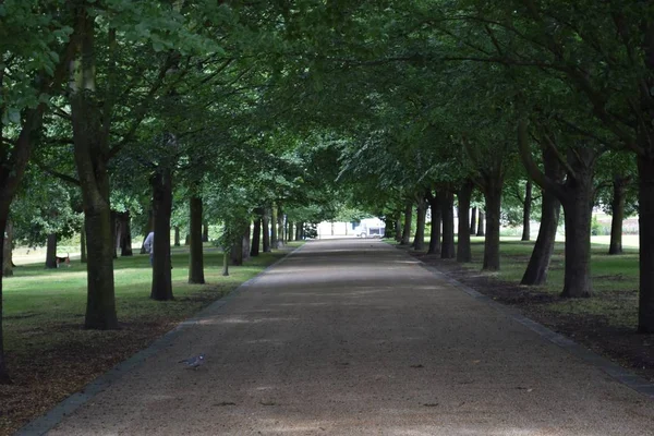 Londra Güneş Işığı Altında Bir Parkta Kaldırım — Stok fotoğraf