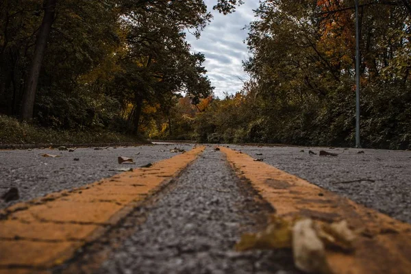 Eine Flache Aufnahme Einer Straße Inmitten Eines Waldes Herbst — Stockfoto