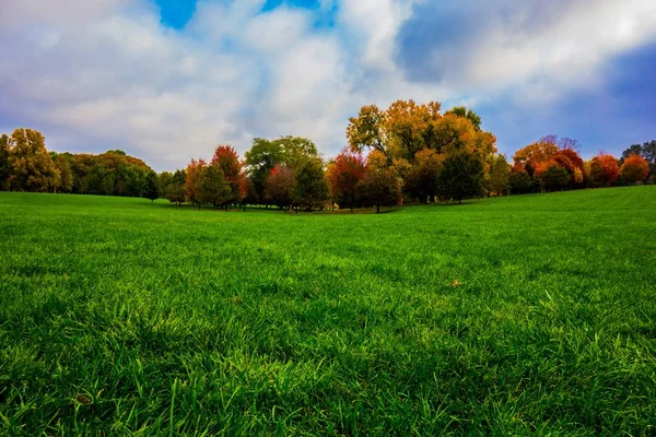 太陽の光と青空の下 木々や草に囲まれた庭園の風景 — ストック写真