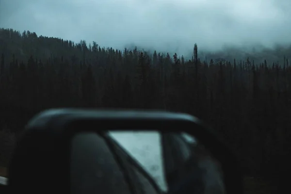 Espejo Borroso Frente Bosque Oscuro Lleno Pinos Altos Fondo Bajo — Foto de Stock