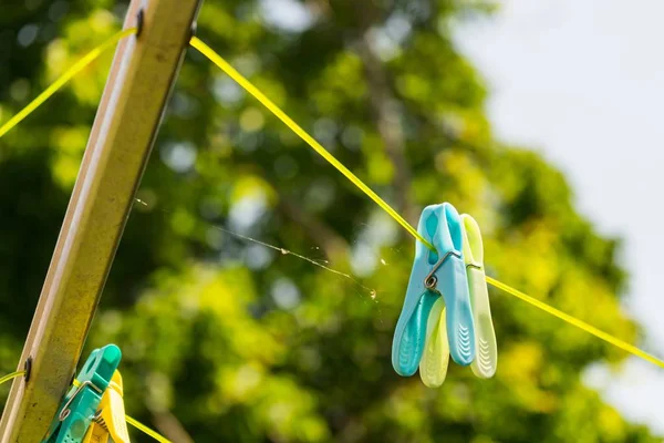 Een Close Shot Van Plastic Wasknijpers Een Spinnenweb Opgehangen Aan — Stockfoto