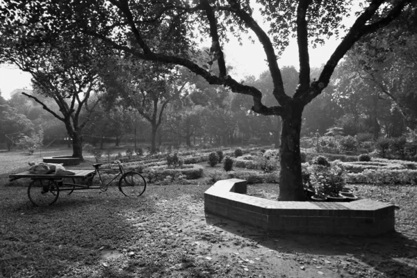 Una Foto Escala Grises Parque Lleno Árboles Arbustos Bangladesh —  Fotos de Stock