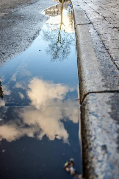 Una Vista Bajo Ángulo Del Cielo Árboles Reflejándose Agua Carretera — Foto de Stock