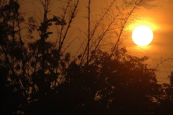 Krajina Siluetami Stromů Pod Zataženou Oblohou Během Zlatého Západu Slunce — Stock fotografie