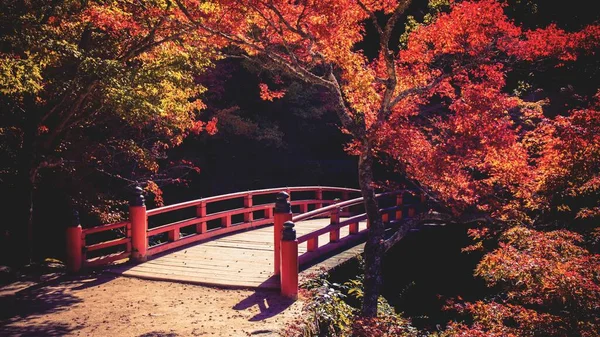 Traditionell Japansk Bro Park Full Färgglada Höstlöv Miyajima Japan — Stockfoto