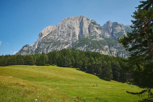 Beau Paysage Paysage Verdoyant Avec Beaucoup Arbres Énormes Falaises Rocheuses — Photo