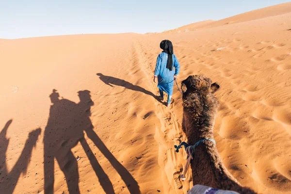 Person som går framför en kamel under en kamelfärd i en öken i Marocko — Stockfoto
