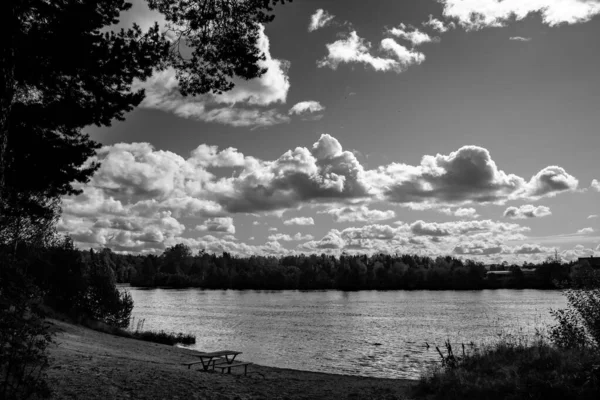 Gråskala Bild Sjö Mitt Skog Den Molniga Himlen — Stockfoto