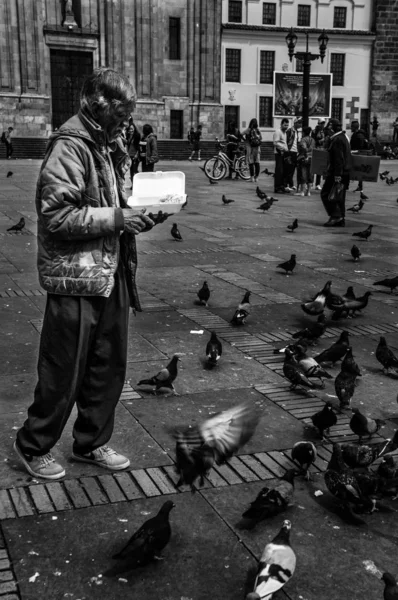 哥伦比亚波哥大 2017年4月24日 人类在哥伦比亚波哥大玻利瓦尔广场喂鸽子 — 图库照片