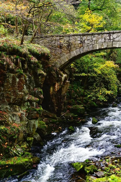 Ein Fluss Umgeben Von Grünen Felsen Einem Wald Mit Einer — Stockfoto