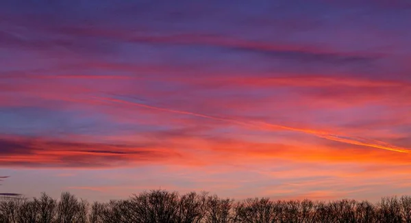 Uma Paisagem Silhuetas Árvore Sob Céu Nublado Durante Belo Pôr — Fotografia de Stock