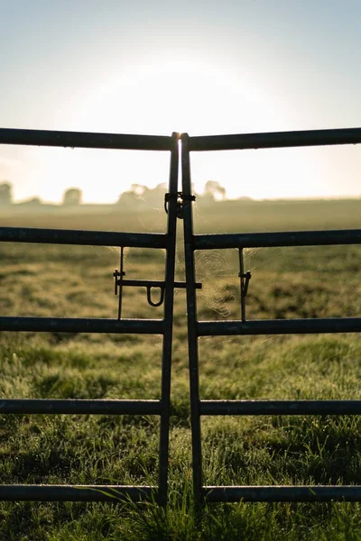 Disparo Vertical Una Valla Metal Frente Campo Campo —  Fotos de Stock