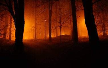 Toomemgi park in Tartu, Estonia on a golden foggy night  clipart