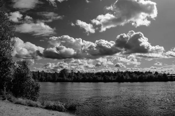 Gråskala Bild Sjö Mitt Skog Den Molniga Himlen — Stockfoto