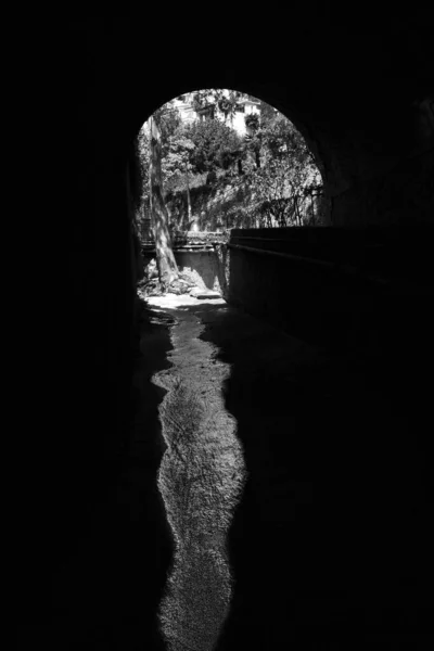 Вертикальный Серый Кадр Деревьев Конце Туннеля — стоковое фото