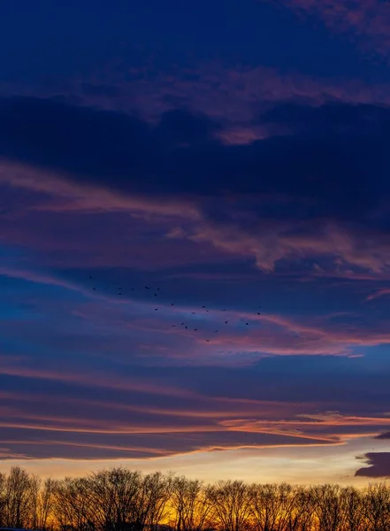 Uma Paisagem Silhuetas Árvore Sob Céu Nublado Durante Belo Pôr — Fotografia de Stock