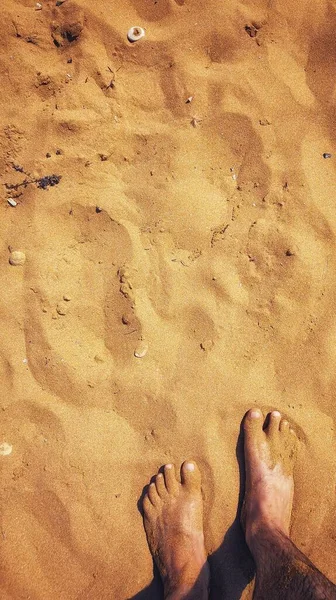 Een Verticaal Schot Van Een Mannetje Staand Een Zandstrand — Stockfoto