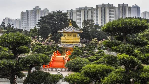 Lenyűgöző Táj Híres Nan Lian Garden Hongkong — Stock Fotó