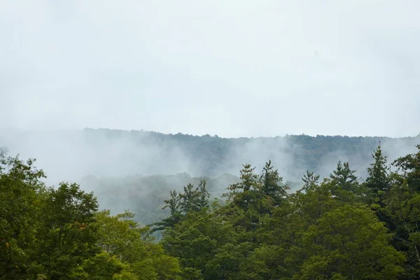 Mlha nad Vermontským lesem — Stock fotografie