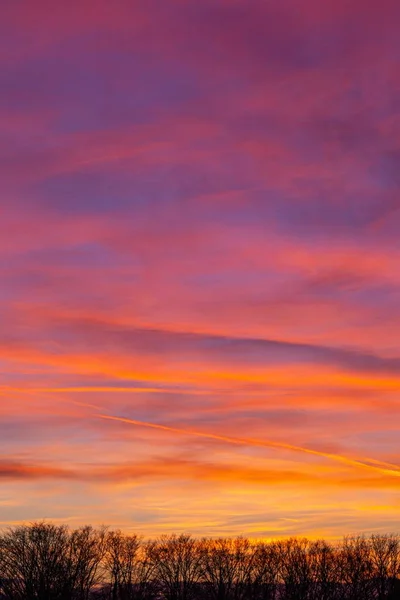 美しいピンクの夕日の間に曇り空の下で木のシルエットの風景 — ストック写真