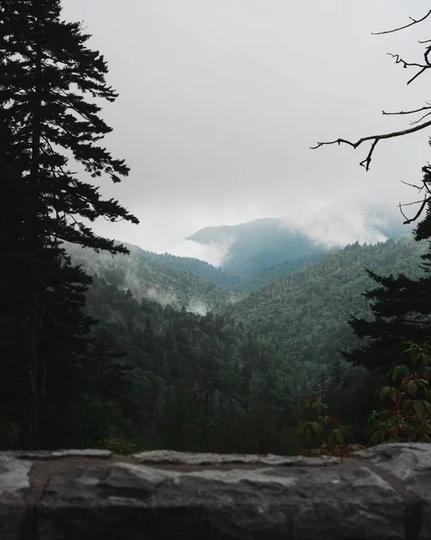 Pionowe Zielone Górskie Dekoracje Lakkidi Indie — Zdjęcie stockowe