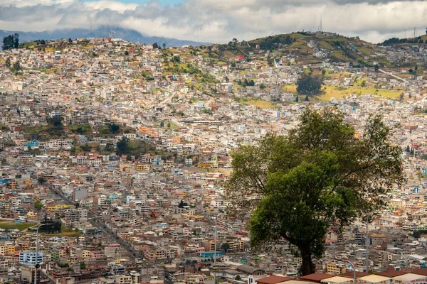 Вид Город Окруженный Деревьями Разноцветными Зданиями Облачным Небом Эквадоре — стоковое фото