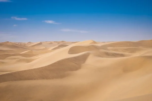 阳光灿烂的一天 沙漠中一片美丽的沙丘 — 图库照片