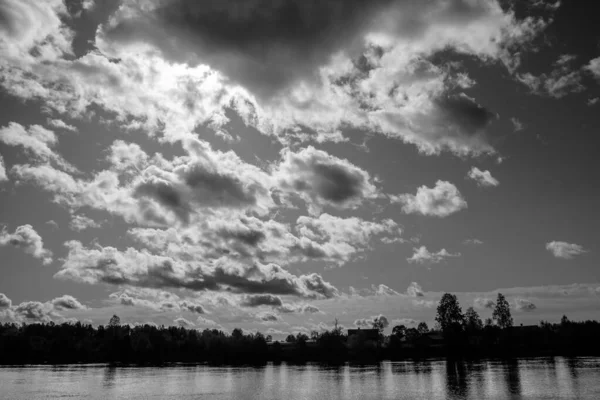 Серый Снимок Озера Посреди Леса Облачным Небом — стоковое фото