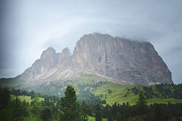 Uno Splendido Scenario Paesaggio Verde Con Sacco Alberi Enormi Scogliere — Foto Stock