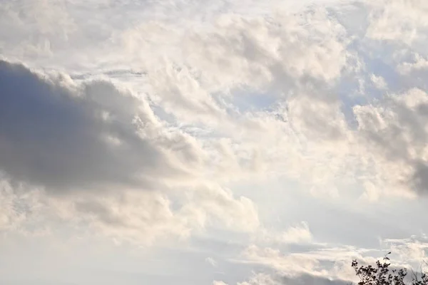 Une Vue Angle Bas Des Nuages Sur Ciel Bleu Une — Photo