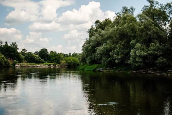 美しい木々と川の青い空の反射 — ストック写真