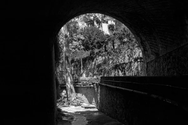 Una Escama Gris Árboles Final Túnel Bajo Luz Del Sol — Foto de Stock