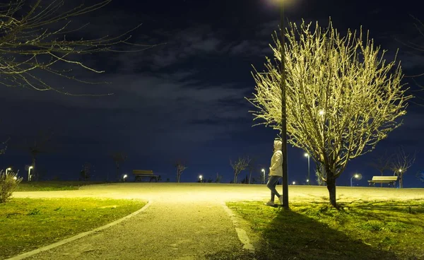 Una Persona Parada Parque Durante Una Hermosa Noche Tranquila —  Fotos de Stock