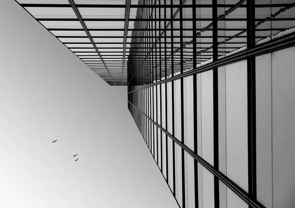 Una Toma Ángulo Bajo Edificio Negocios Moderno Tocando Cielo Despejado — Foto de Stock