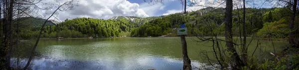 Plano Panorámico Lago Rodeado Por Bosque Bajo Cielo Nublado Árboles —  Fotos de Stock