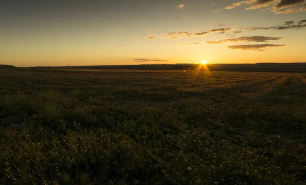 Захватывающий Пейзаж Восходящего Солнца Над Зеленым Полем Сельской Местности — стоковое фото