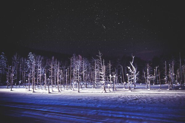 Mesmerizing Winter Scenery Magical Night Sky Aoi Ike Hokkaido Japan — Stock Photo, Image