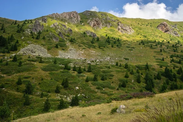 Krajina kopců pokrytá zelení pod modrou oblohou a slunečním svitem během dne — Stock fotografie
