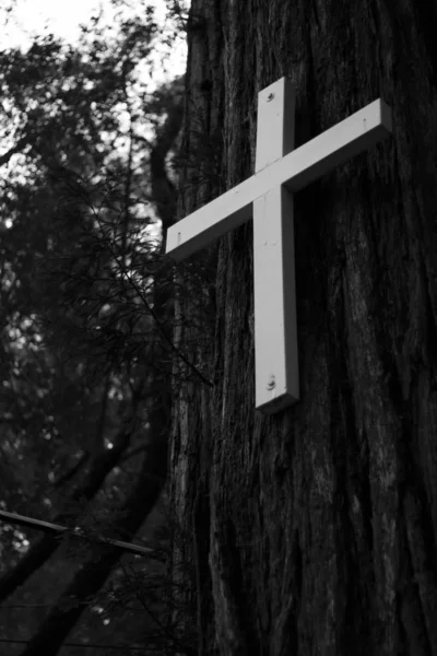 Vertical greyscale tiro de uma cruz branca em uma árvore com um fundo borrado — Fotografia de Stock