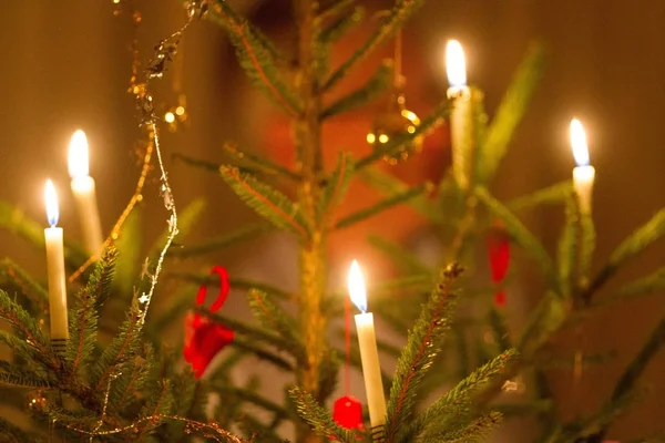 Primer plano de velas encendidas en un árbol de Navidad — Foto de Stock